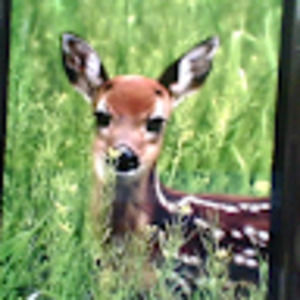 Meet your Posher, Brynna